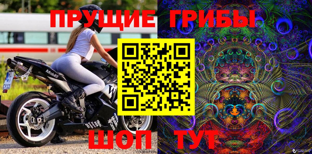 Псилоцибиновые грибы мухоморы Вятские Поляны